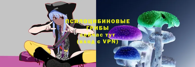 что такое   Хабаровск  Псилоцибиновые грибы Magic Shrooms 